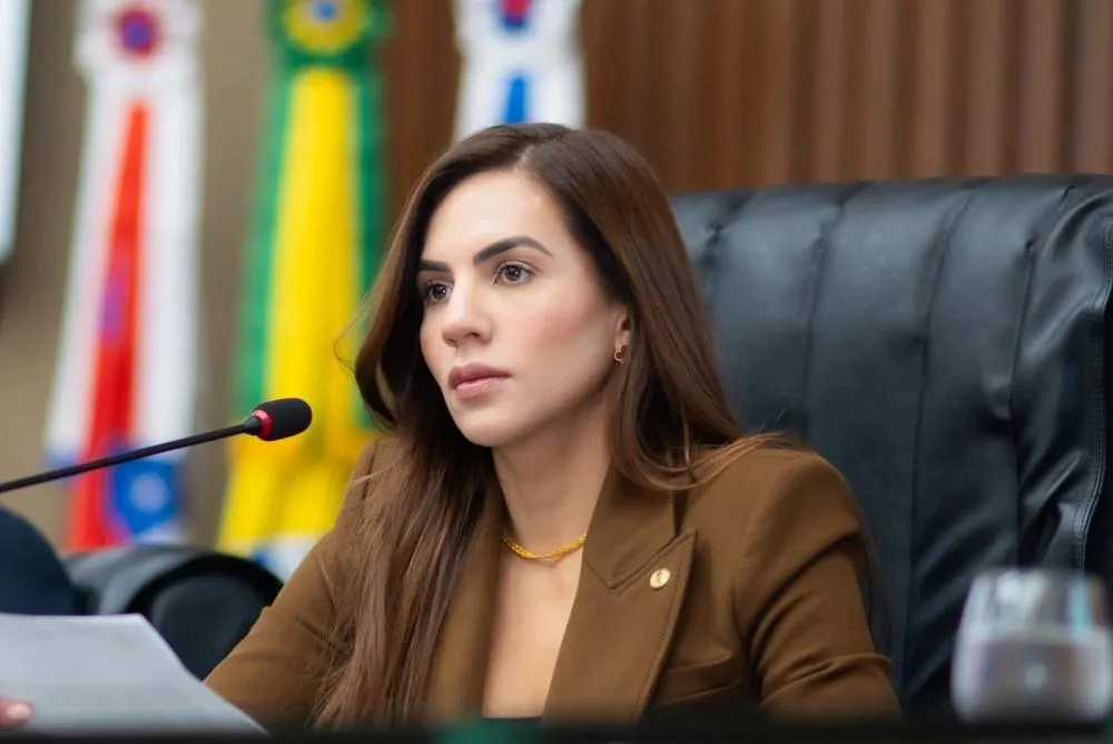 Assembleia Legislativa do Amazonas aprova programa de proteção a gestantes vulneráveis